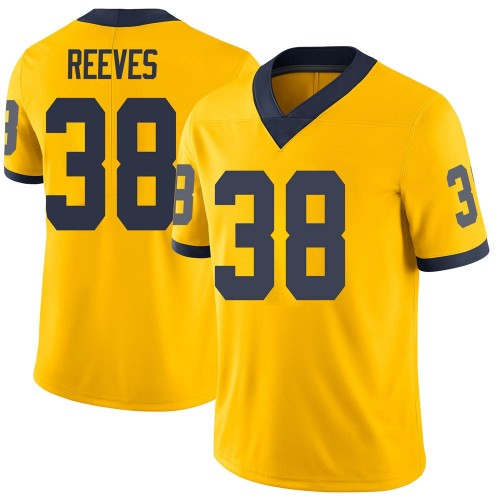 Geoffrey Reeves Michigan Wolverines Youth NCAA #38 Maize Limited Brand Jordan College Stitched Football Jersey MQA1454QN